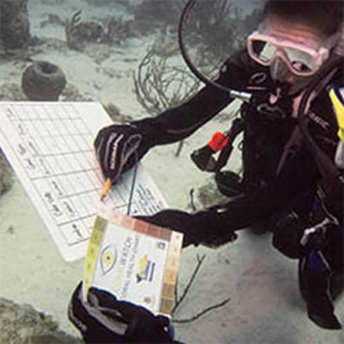 PADI Search and Recovery Course Voucher